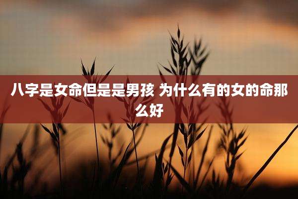 八字是女命但是是男孩 为什么有的女的命那么好