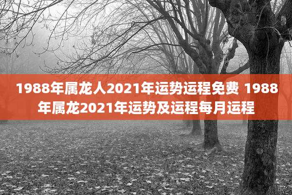 1988年属龙人2021年运势运程免费 1988年属龙2021年运势及运程每月运程