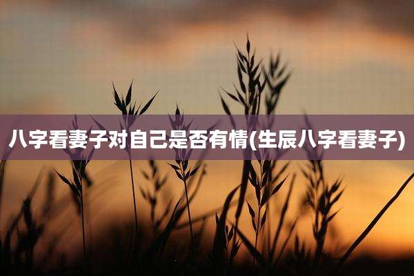 八字看妻子对自己是否有情(生辰八字看妻子)