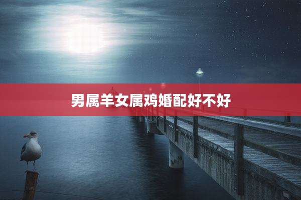 男属羊女属鸡婚配好不好