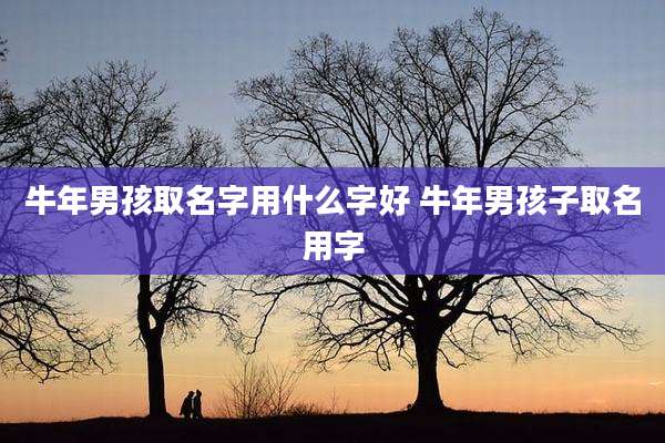 牛年男孩取名字用什么字好 牛年男孩子取名用字