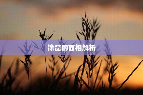 涂磊的面相解析