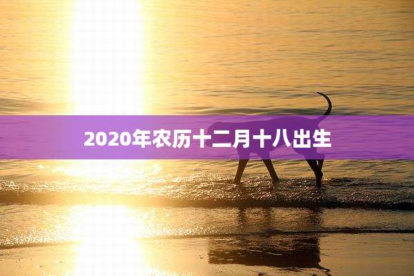 2020年农历十二月十八出生