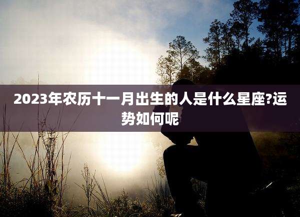 2023年农历十一月出生的人是什么星座?运势如何呢