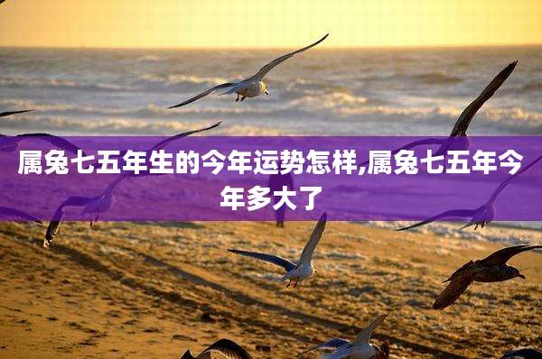 属兔七五年生的今年运势怎样,属兔七五年今年多大了