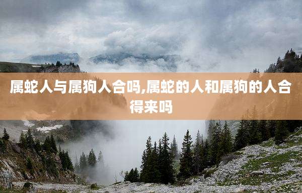 属蛇人与属狗人合吗,属蛇的人和属狗的人合得来吗