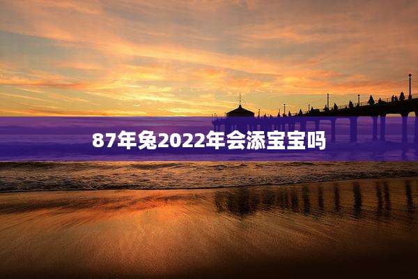 87年兔2022年会添宝宝吗