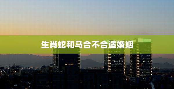 生肖蛇和马合不合适婚姻