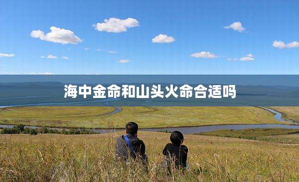 海中金命和山头火命合适吗
