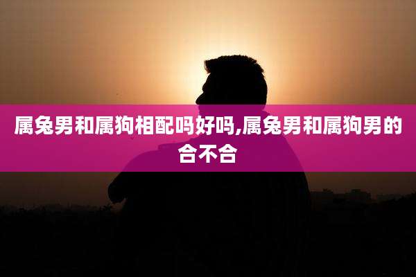 属兔男和属狗相配吗好吗,属兔男和属狗男的合不合