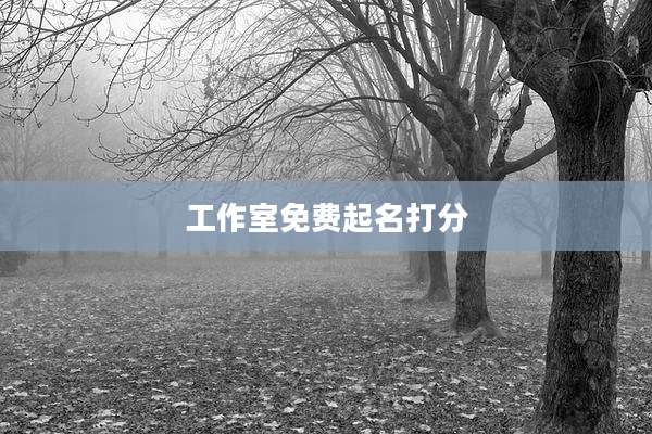 工作室免费起名打分