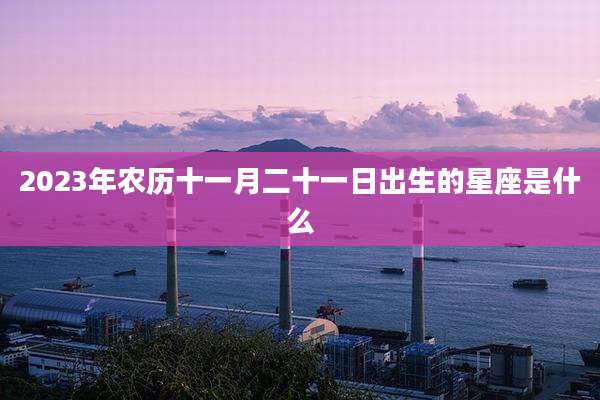 2023年农历十一月二十一日出生的星座是什么