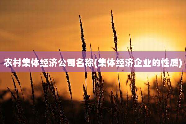 农村集体经济公司名称(集体经济企业的性质)