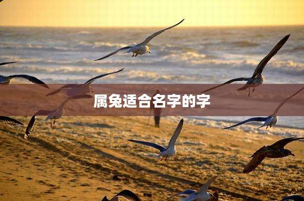 属兔适合名字的字