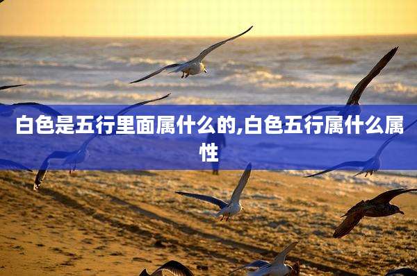 白色是五行里面属什么的,白色五行属什么属性