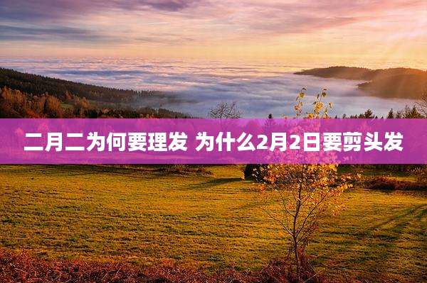 二月二为何要理发 为什么2月2日要剪头发