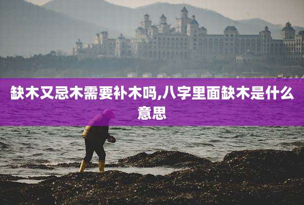缺木又忌木需要补木吗,八字里面缺木是什么意思