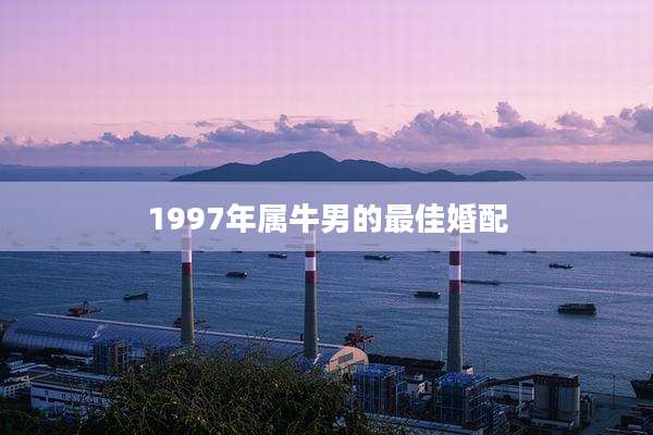 1997年属牛男的最佳婚配