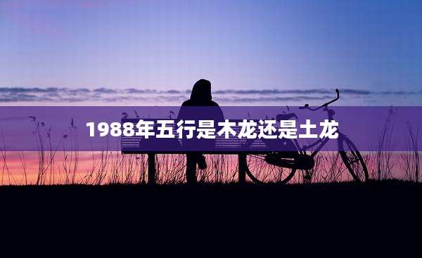 1988年五行是木龙还是土龙