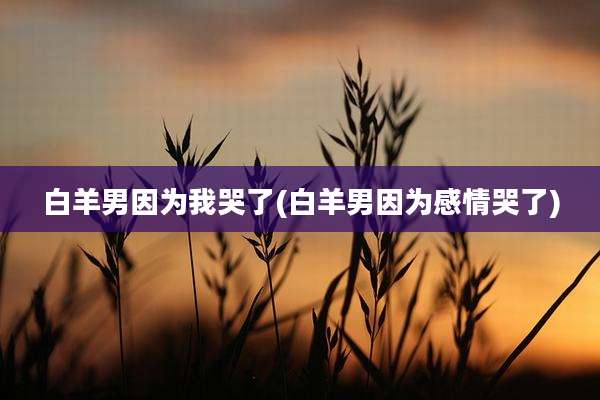 白羊男因为我哭了(白羊男因为感情哭了)