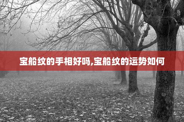 宝船纹的手相好吗,宝船纹的运势如何