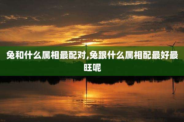 兔和什么属相最配对,兔跟什么属相配最好最旺呢