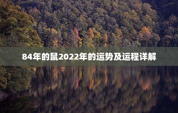84年的鼠2022年的运势及运程详解
