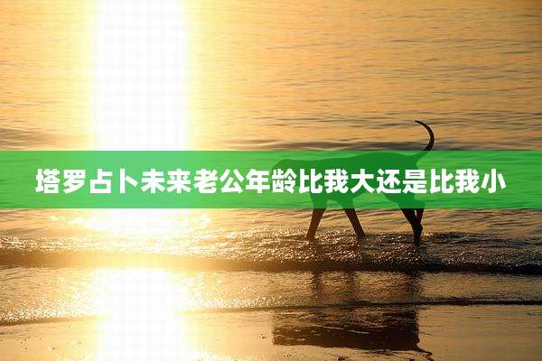 塔罗占卜未来老公年龄比我大还是比我小