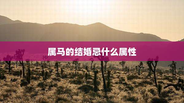 属马的结婚忌什么属性