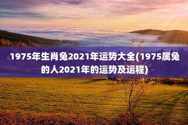 1975年生肖兔2021年运势大全(1975属兔的人2021年的运势及运程)