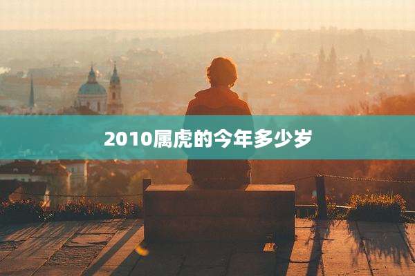 2010属虎的今年多少岁