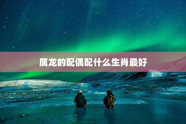 属龙的配偶配什么生肖最好