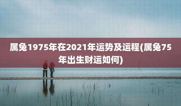 属兔1975年在2021年运势及运程(属兔75年出生财运如何)