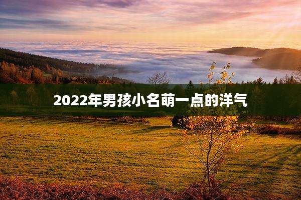 2022年男孩小名萌一点的洋气