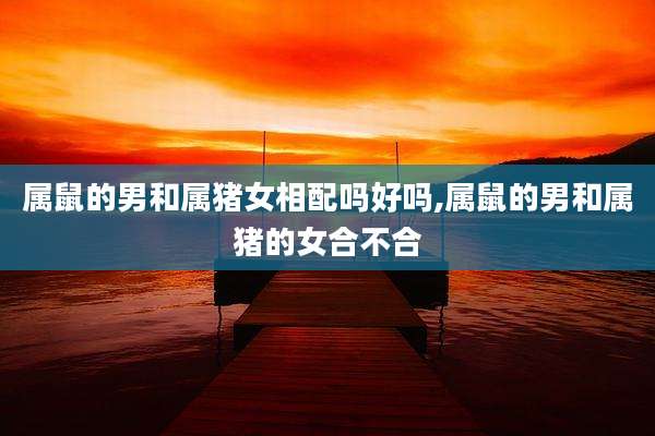 属鼠的男和属猪女相配吗好吗,属鼠的男和属猪的女合不合