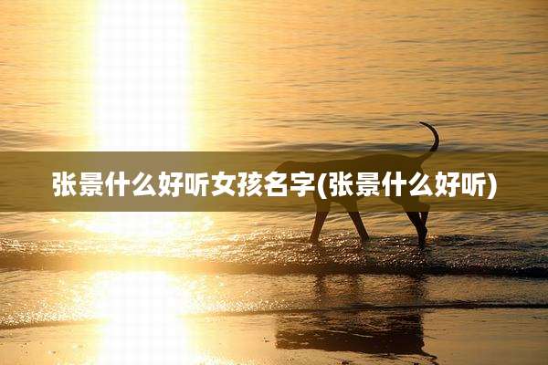 张景什么好听女孩名字(张景什么好听)