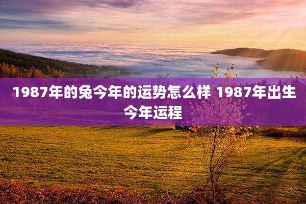 1987年的兔今年的运势怎么样 1987年出生今年运程