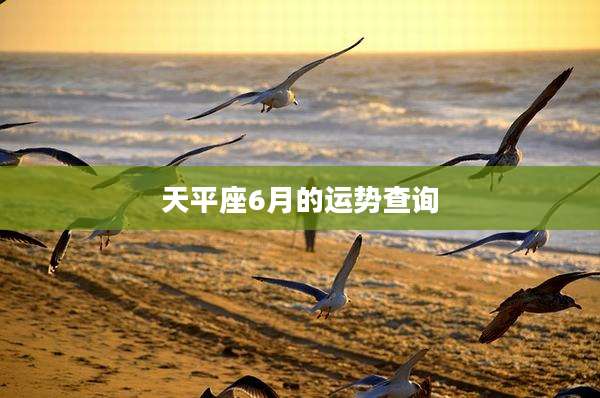 天平座6月的运势查询