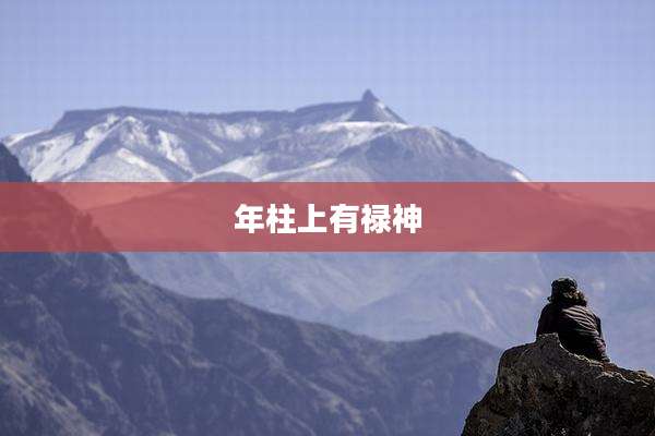 年柱上有禄神