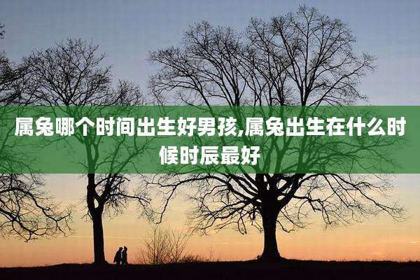 属兔哪个时间出生好男孩,属兔出生在什么时候时辰最好