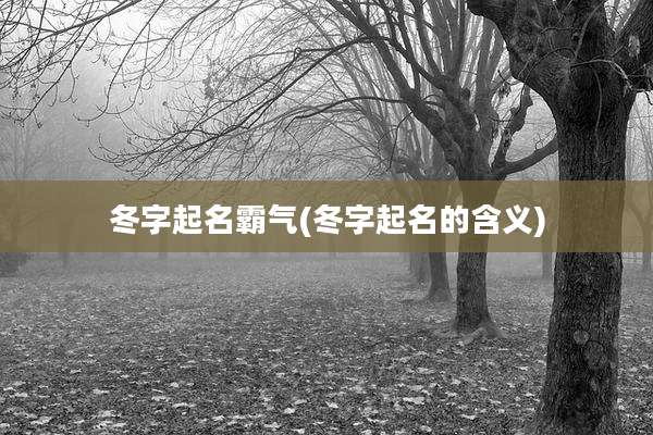 冬字起名霸气(冬字起名的含义)
