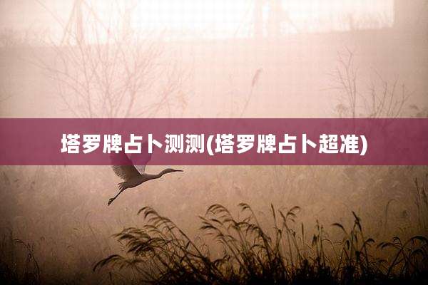 塔罗牌占卜测测(塔罗牌占卜超准)
