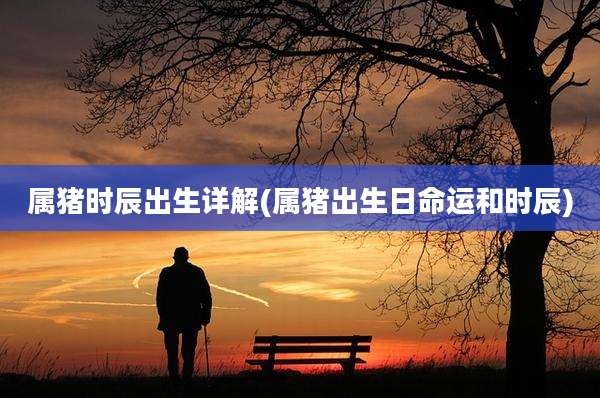 属猪时辰出生详解(属猪出生日命运和时辰)