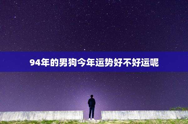 94年的男狗今年运势好不好运呢