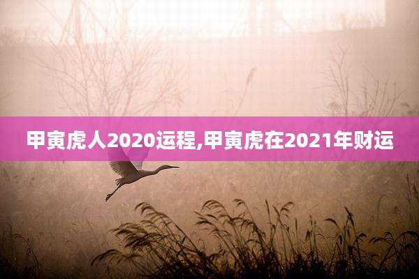 甲寅虎人2020运程,甲寅虎在2021年财运