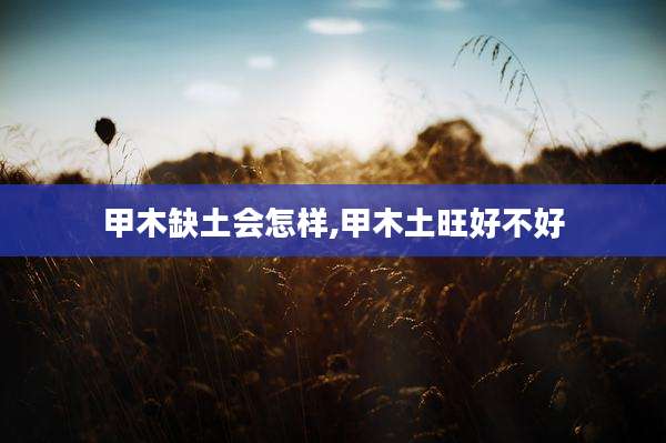 甲木缺土会怎样,甲木土旺好不好
