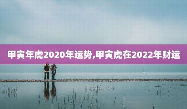 甲寅年虎2020年运势,甲寅虎在2022年财运