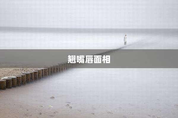 翘嘴唇面相