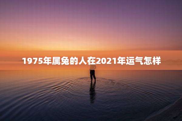 1975年属兔的人在2021年运气怎样