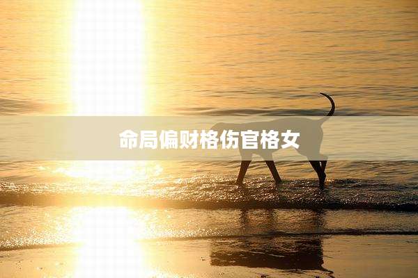 命局偏财格伤官格女